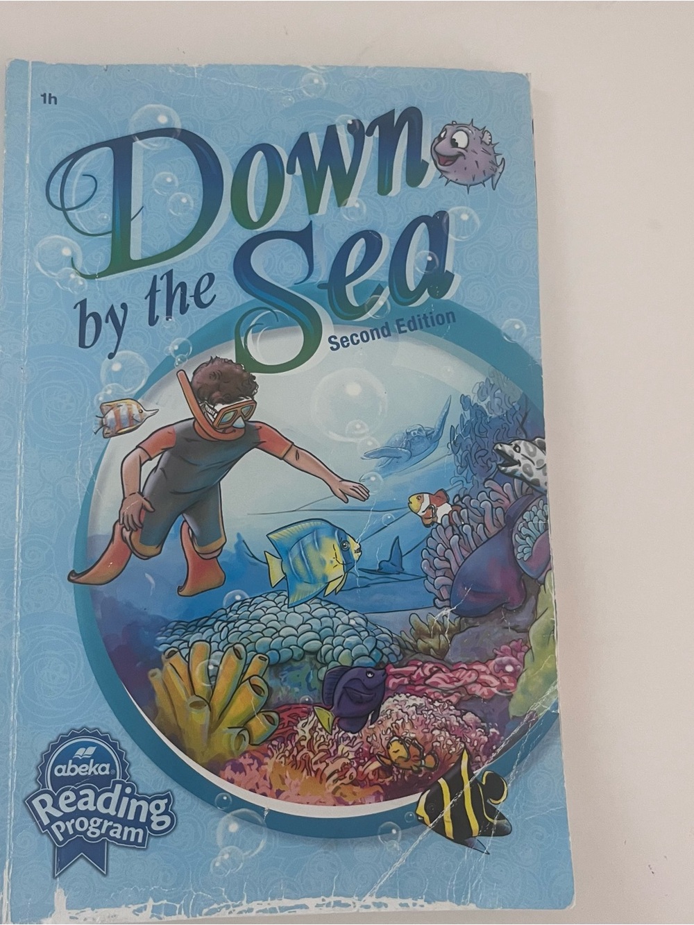 Abeka Down by the Sea Kids Book 1h first grade reading program